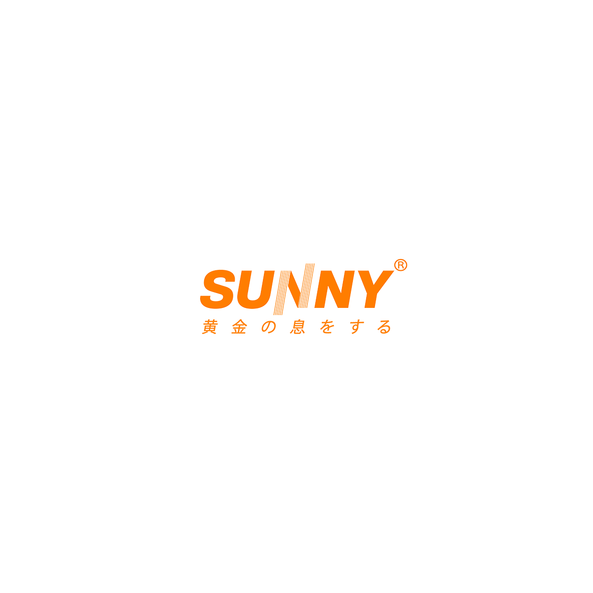 Sunny Electronics